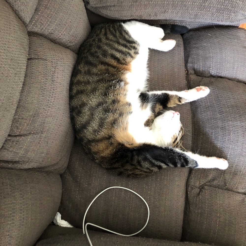 Meet your Posher, Beverly